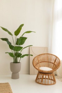 Artificial banana plant 150cm