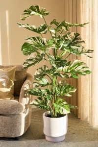 Sampleaboom artificial plant - H140 x Ø120 cm - Green