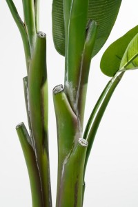 Artificial Heliconia Plant - H175 x Ø140 cm - Green