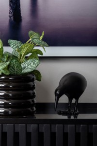 Statue Kiwi Bird