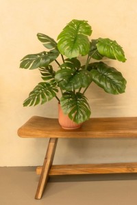 Monstera Artificial Plant A 80cm