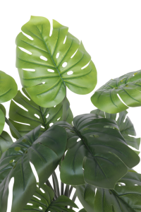 Monstera Artificial Plant A 80cm