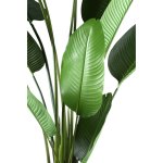 Leaves Plant Green PE Real Touch Strelitzia L