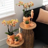 Kolibri Home | Rolling peach bloempot - Peach kleurige keramieken sierpot Ø9cm