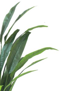 Strelitzia Artificial Plant 160cm