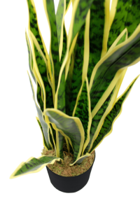 Sansevieria artificial plant 70cm