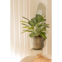 Calathea Kunstplant 70cm