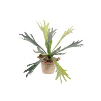 Kunstplant - Staghorn Fern - Hertshoorn - 33 cm