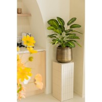 Calathea Kunstplant 70cm