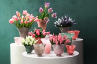 Macarena Dark Pink Glass Round Vase Wavy High S