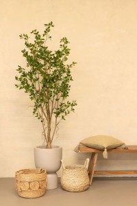 Ficus Artificial plant 180cm