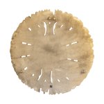 Sandee Gold Casted Alu Wall Panel Sun Burst L