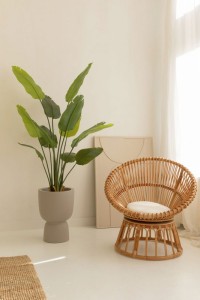 Strelitzia Artificial Plant 160cm