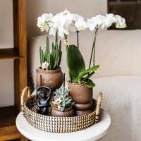Kolibri Home | Plantenstandaard - Zwart metalen planten verhoging Ø12cm