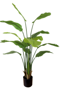 Strelitzia Artificial Plant 160cm