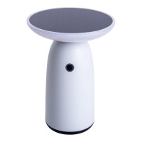 LED Solarleuchte "Ada" weiß für Außen LED Tischlampe aus Metall und Kunststoff, mit fest verbauten LEDs, Solarlampe 22,5 x 16 cm