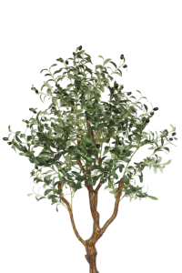 Pre-Order Art Olive Tree 150cm