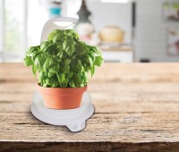 LED plant tablet light 24 cm high, made of metal and plastic in white, with integrated LED