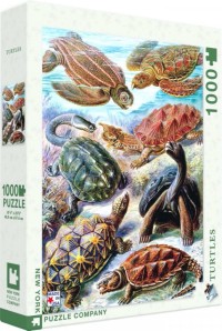 New York Puzzle Company Turtles - 1000 pieces