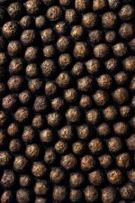 Gen Bronze Oval Cement Wall Panel Bulbs High L