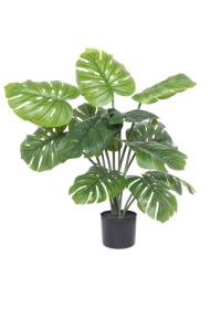 Monstera Artificial Plant A 80cm