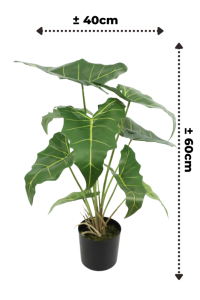 Alocasia Kunstplant 60cm