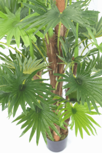 Artificial Fan Palm 150cm