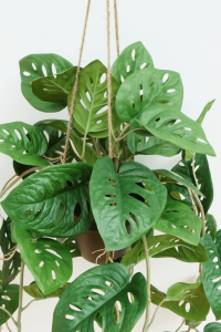 Monstera Monkey Bush Artificial Hanging Plant 95cm