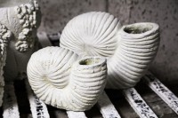 Shelly White Shell Shaped Cement Statue L