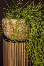 Skye-Leigh Taupe Cement Pot Round L