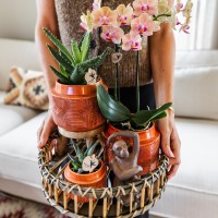 Kolibri Home | Plantenstandaard - Houten planten verhoging Ø12cm