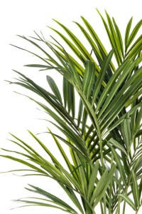 Kentia Artificial Palm 150cm