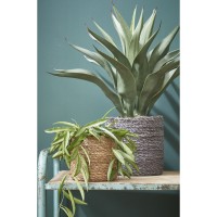 Atlantic Plantenmand - Set van 2 - H20 x Ø20 cm - Zeegras - Lichtbruin