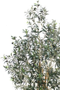 Pre-Order Art Olive Tree 180cm