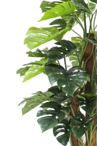 Monstera Artificial Plant 120cm