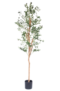 Artificial Olive Tree 170cm