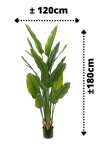 Strelitzia Kunstplant 180cm