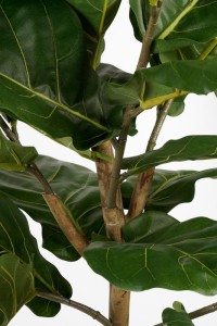 Ficus Lyrata Artificial Plant - H165 x Ø95 - Green