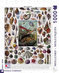 New York Puzzle Company Mollusks - 1000 pieces