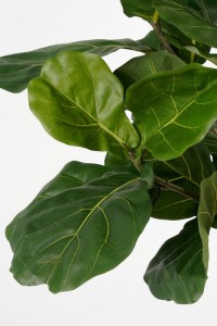 Ficus Lyrata Artificial Plant - H165 x Ø95 - Green