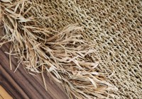 The Fringed Carpet - Natural - 180x240