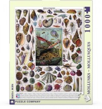 New York Puzzle Company Mollusks - 1000 pieces