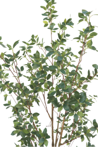 Ficus Artificial plant 180cm