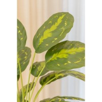 Calathea Kunstplant 70cm