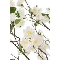 J-Line Bloesemboom Plastiek Wit/Bruin Large