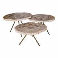 New Khine Petrified Wood Coffee Table Brass SV3