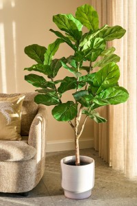 Ficus Lyrata artificial plant in pot - H150 x Ø50 cm - Green