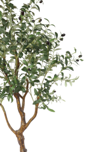 Pre-Order Art Olive Tree 150cm