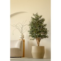 Pre-order Kunst Olijfboom 170cm Deluxe (feb '26)