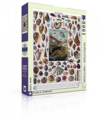 New York Puzzle Company Mollusks - 1000 pieces